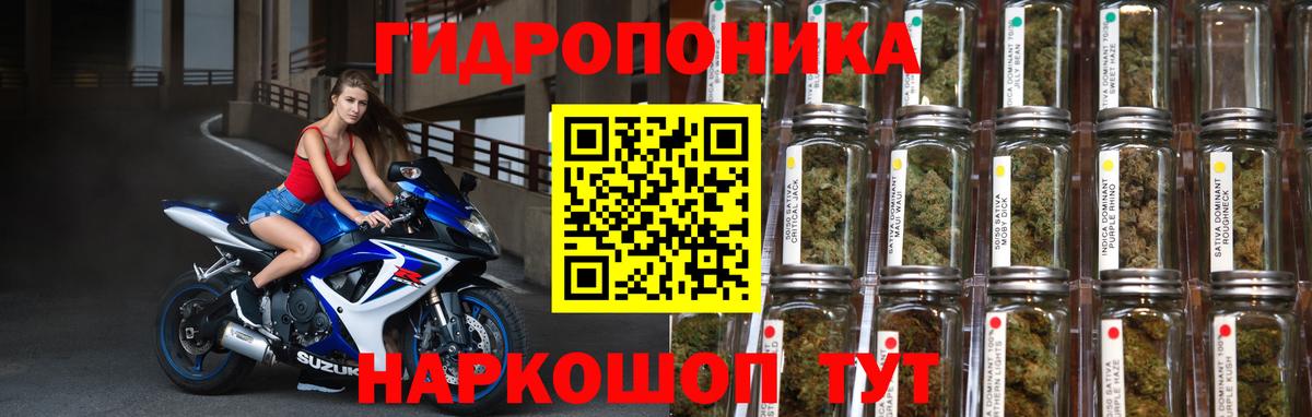 Бошки марихуана планчик Холмск